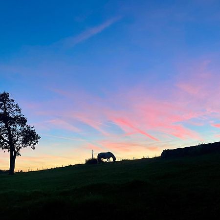 Auszeit Altenhorst, Gartenferienwohnung Schalksmuhle Bagian luar foto