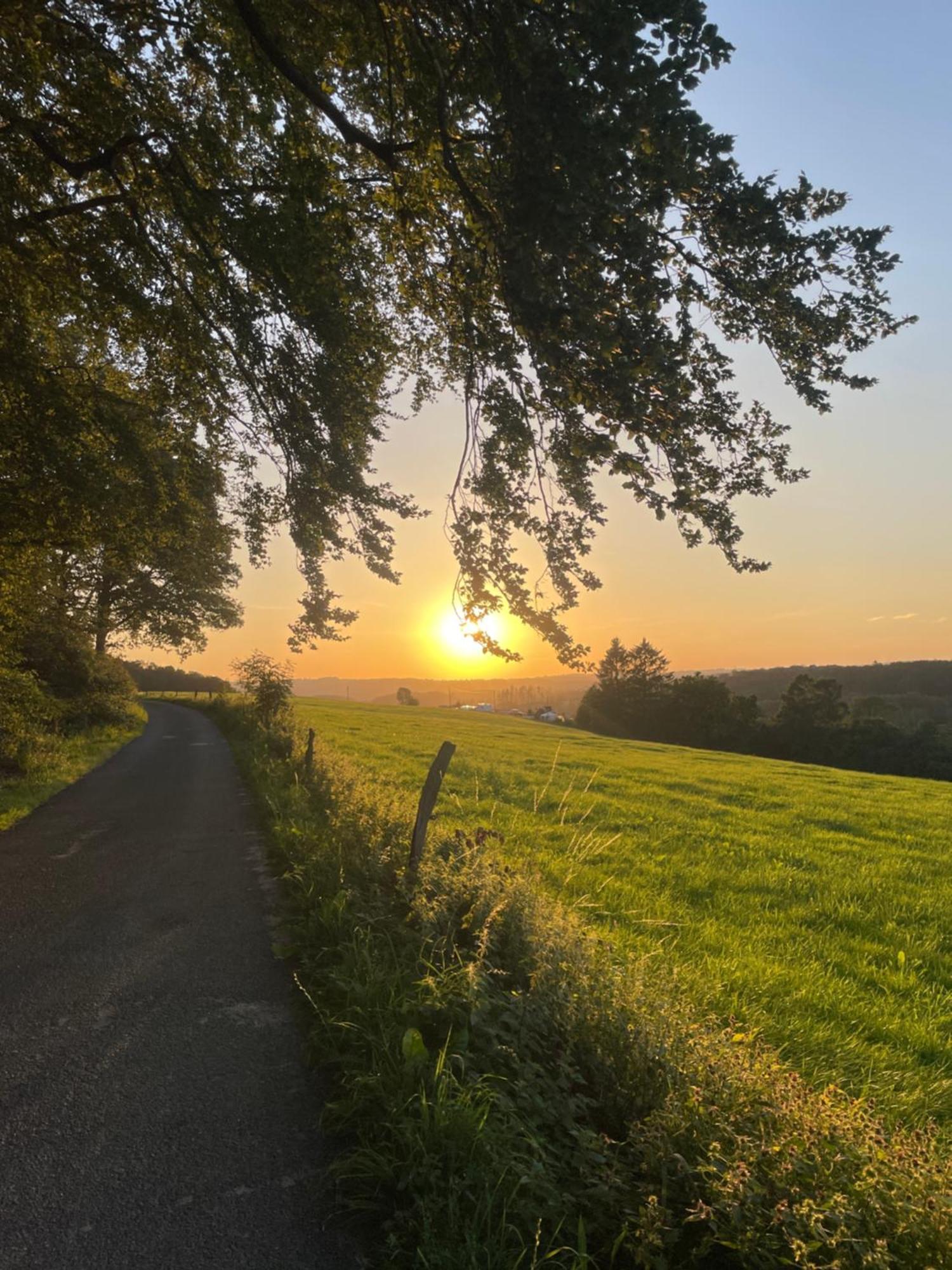 Auszeit Altenhorst, Gartenferienwohnung Schalksmuhle Bagian luar foto