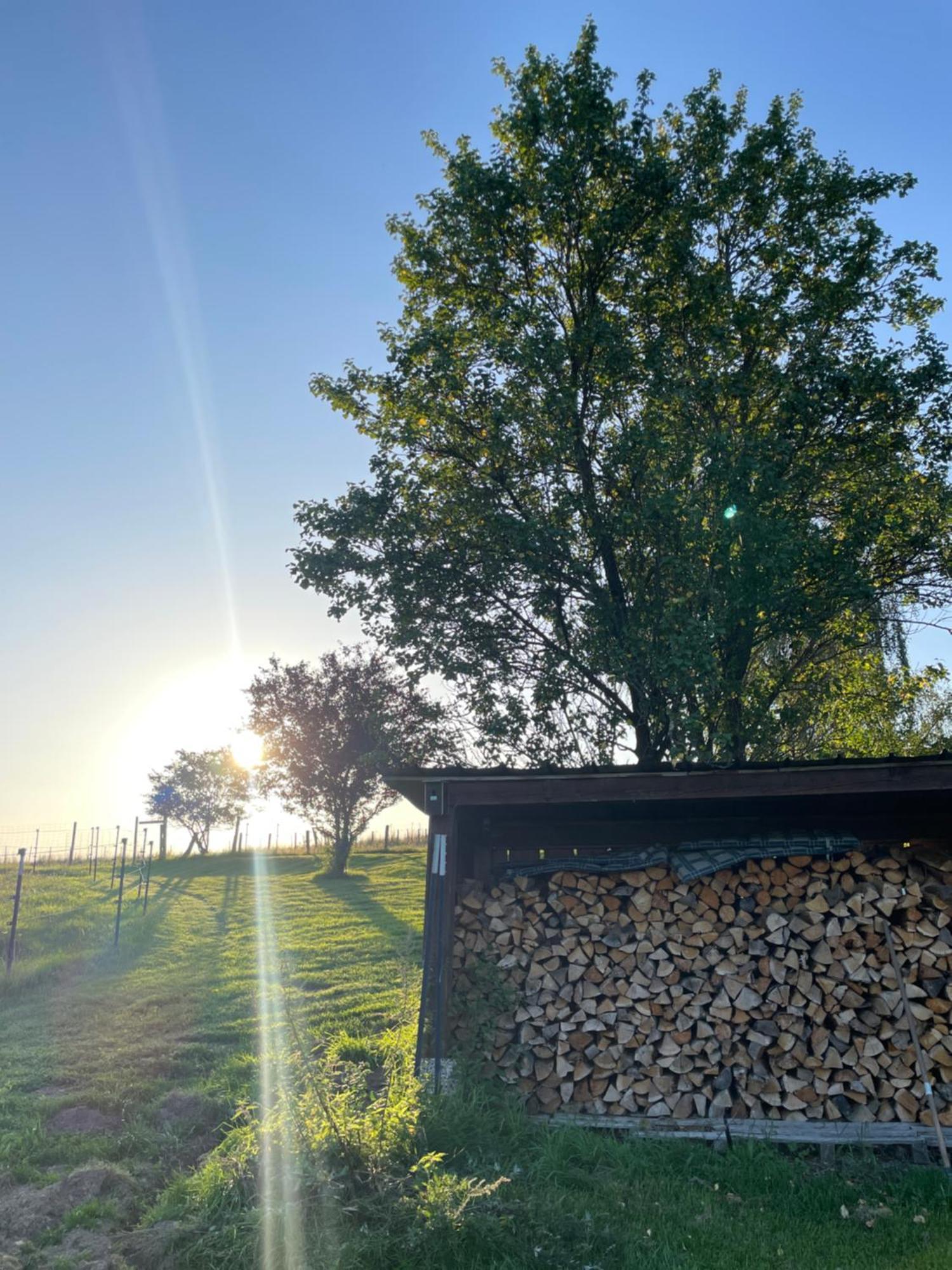 Auszeit Altenhorst, Gartenferienwohnung Schalksmuhle Bagian luar foto