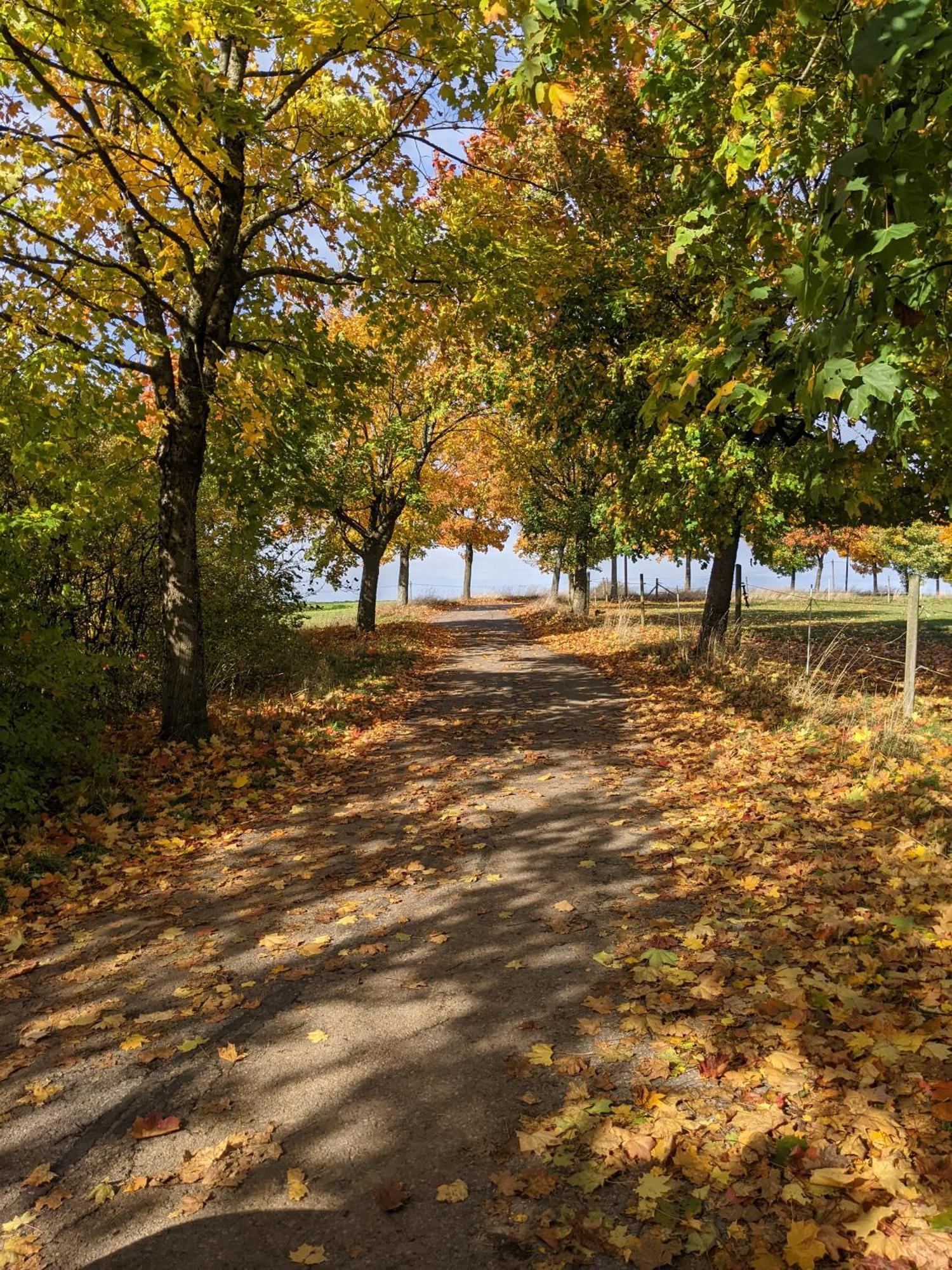 Auszeit Altenhorst, Gartenferienwohnung Schalksmuhle Bagian luar foto